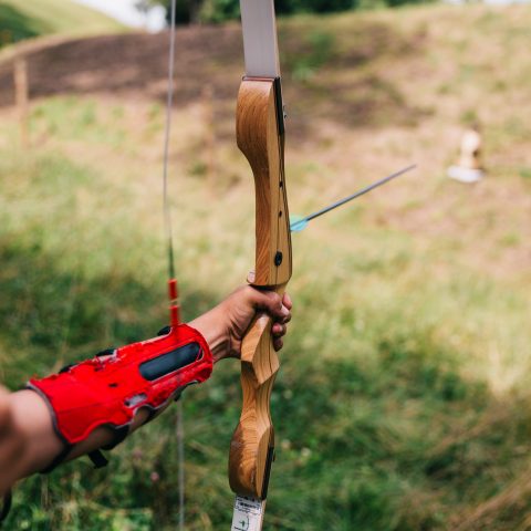 Buying the right limbs for your bow