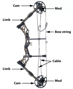 How does a compound bow work – the full explanation ...
