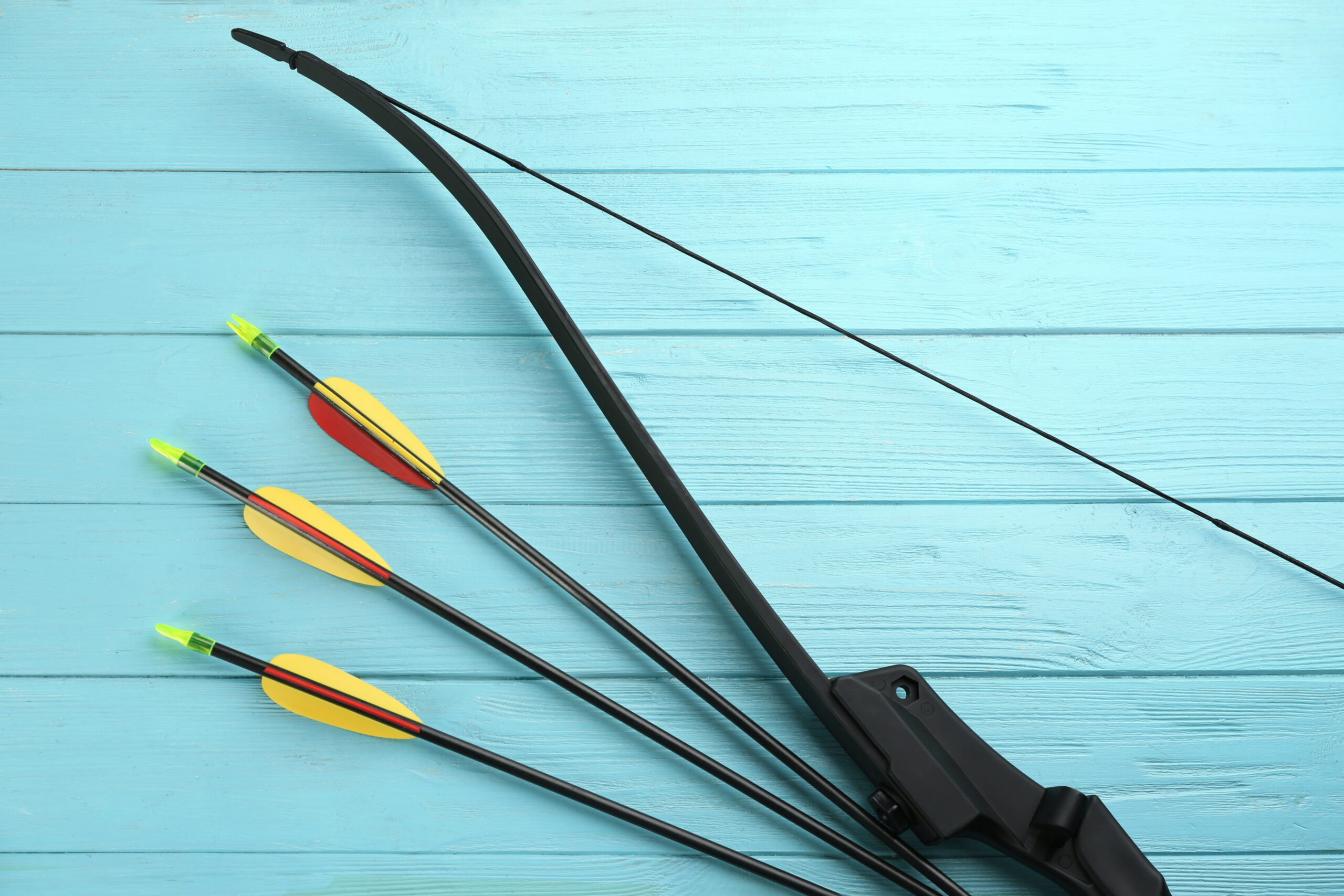 5 best recurve bow limbs